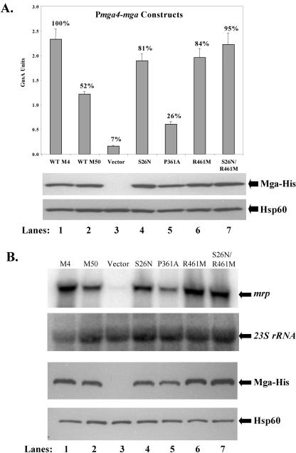 FIG. 5.