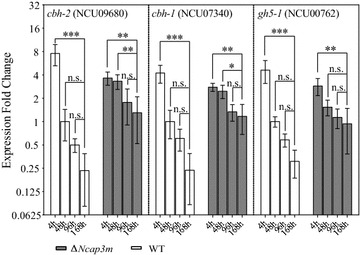 Fig. 7