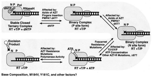 FIG. 7.