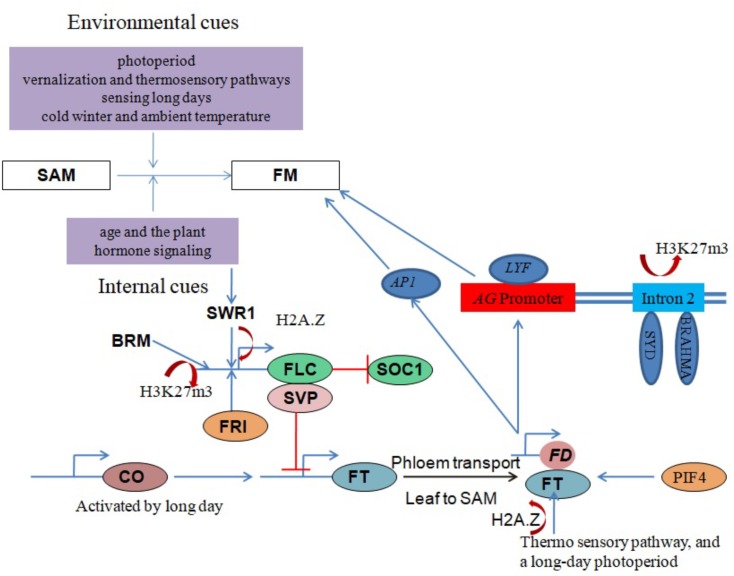 FIGURE 3