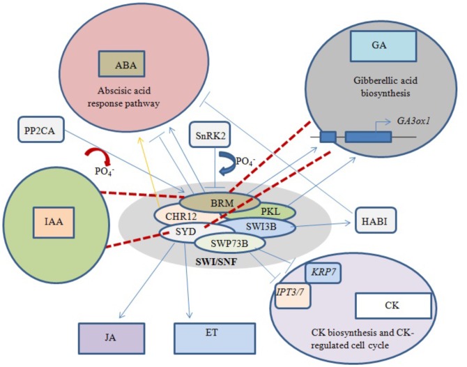 FIGURE 4