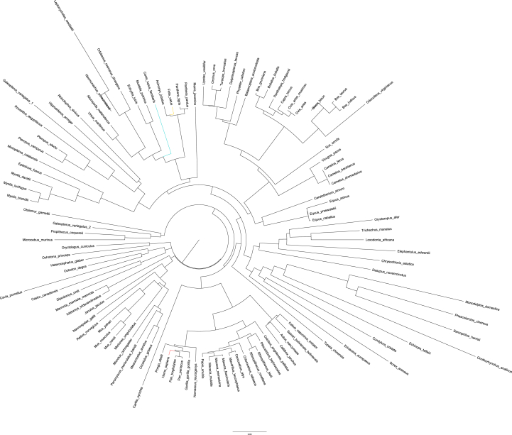 Figure 2