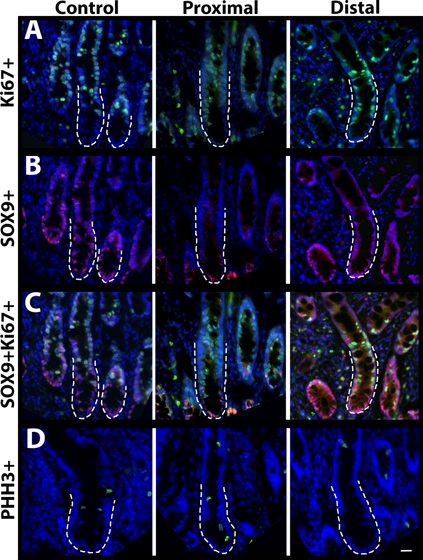 Figure 3: