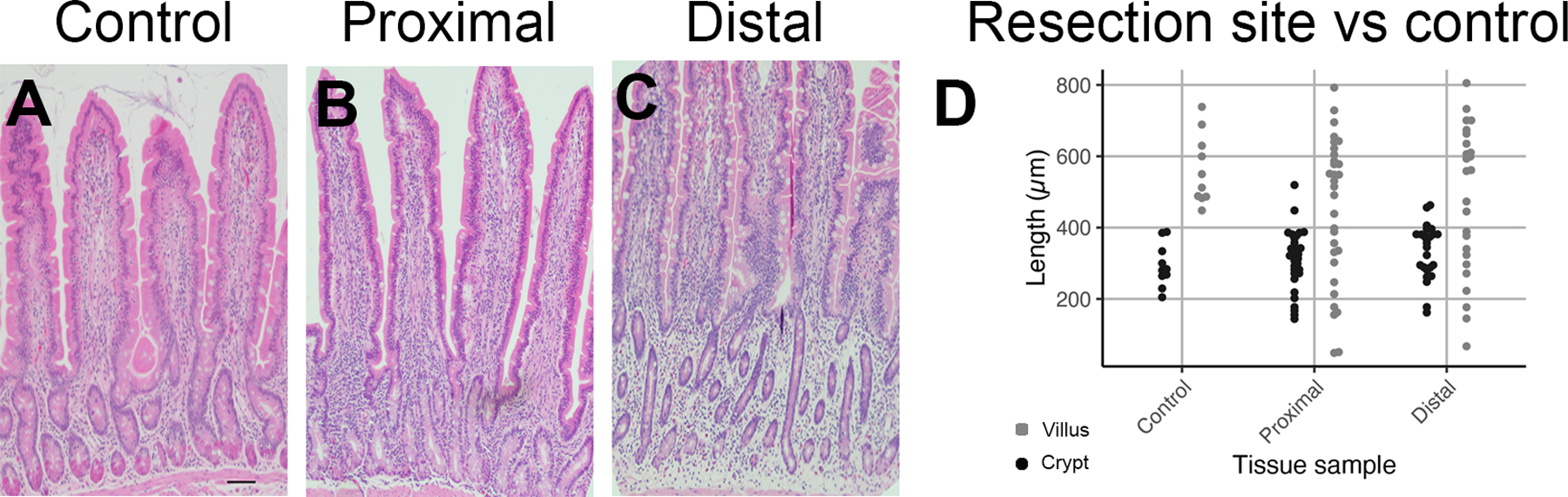 Figure 2: