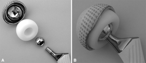 Fig. 1A–B