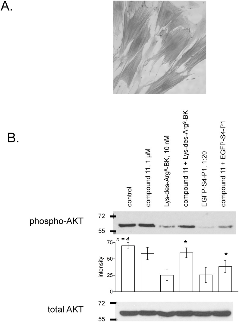 Fig 8