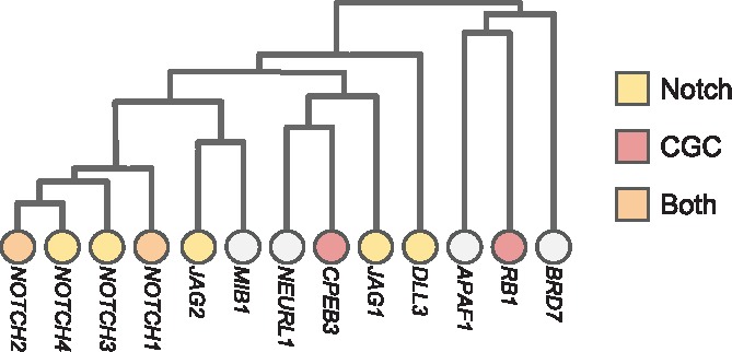 Fig. 6.