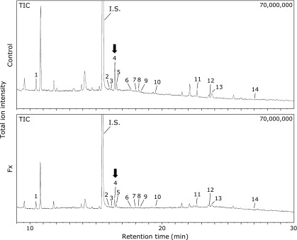 Fig. 5