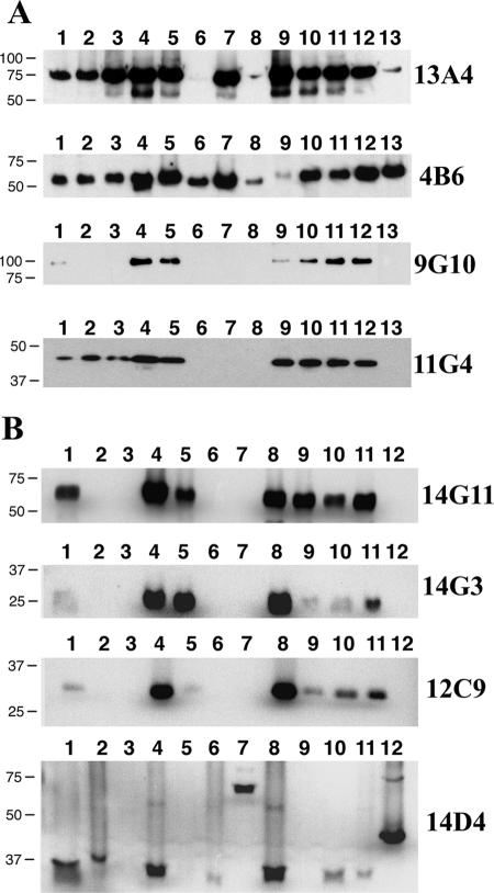 FIG. 3.