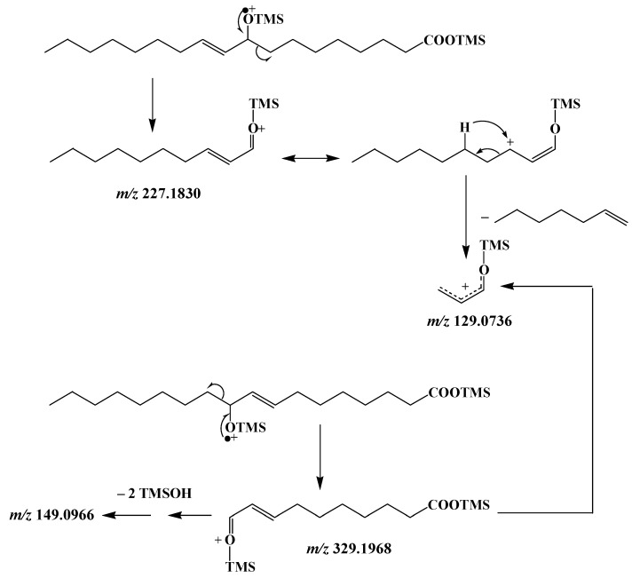 Scheme 6