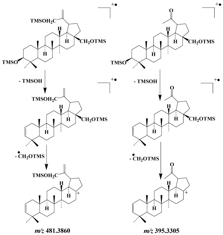 Scheme 8