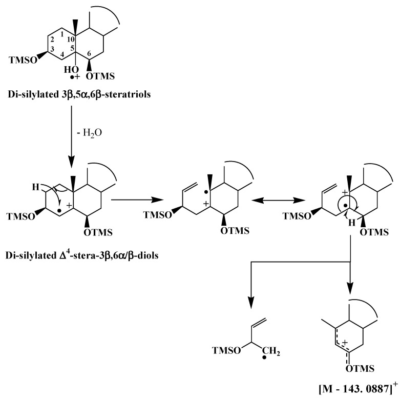 Scheme 4