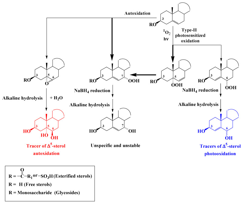 Scheme 3