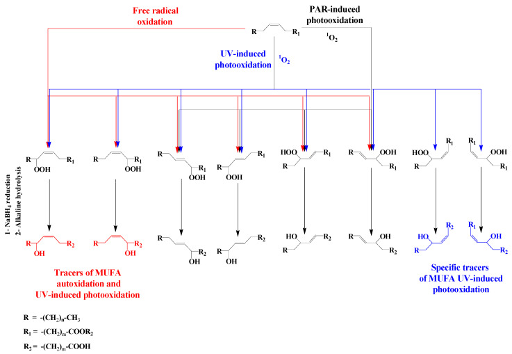 Scheme 5