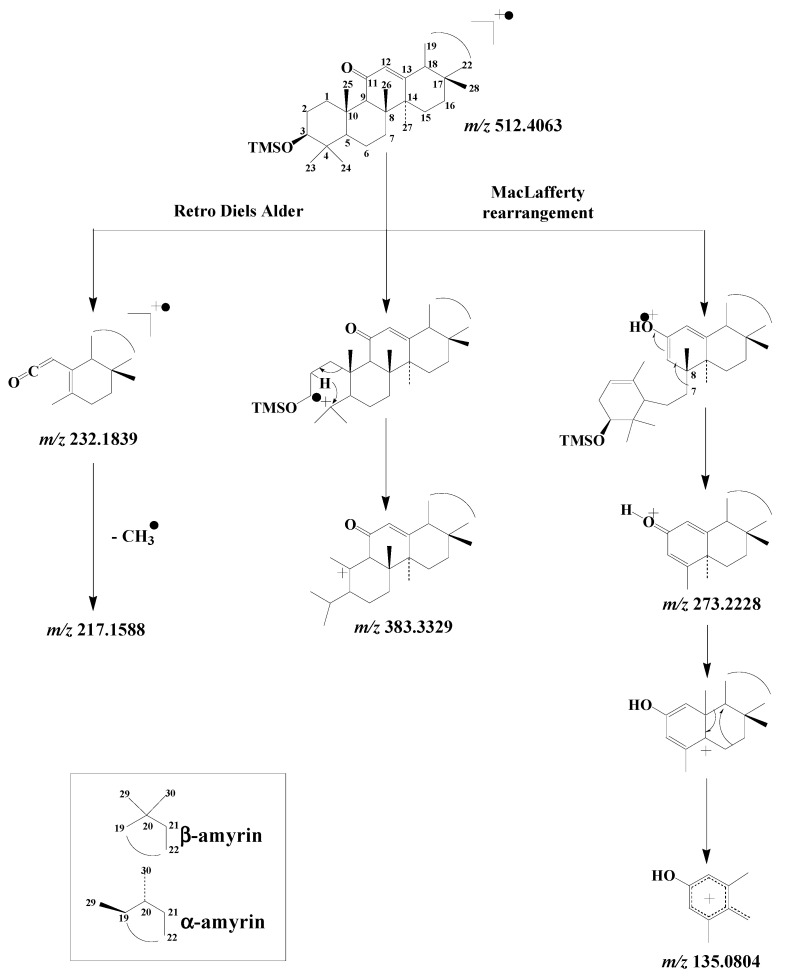 Scheme 10