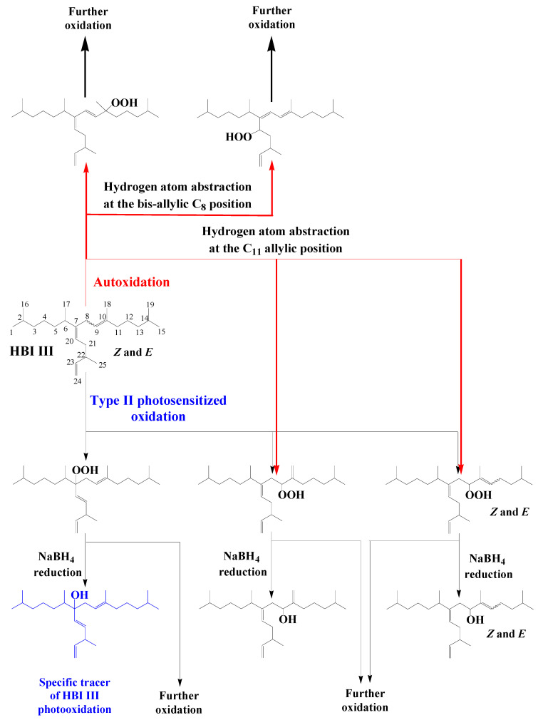 Scheme 13