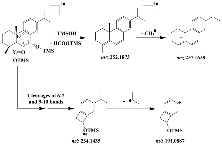 Scheme 12