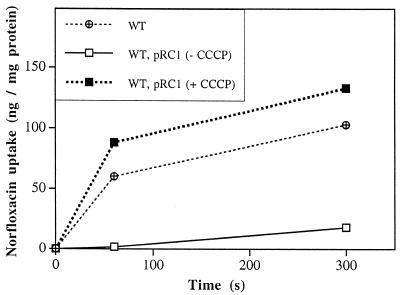 FIG. 3.