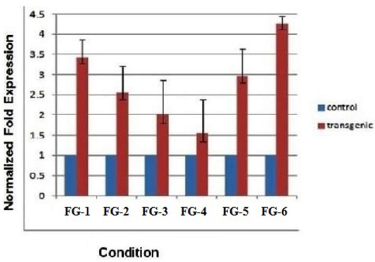 Figure 5