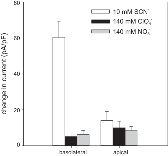 Fig. 11.