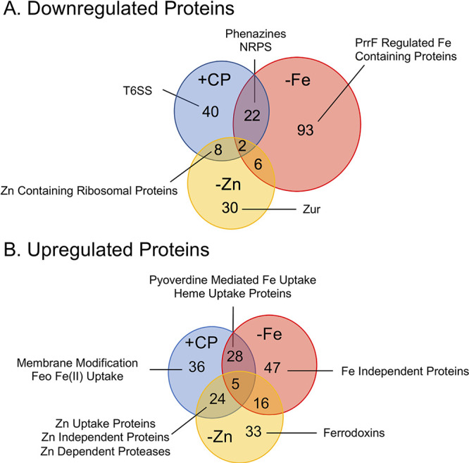 FIG 2