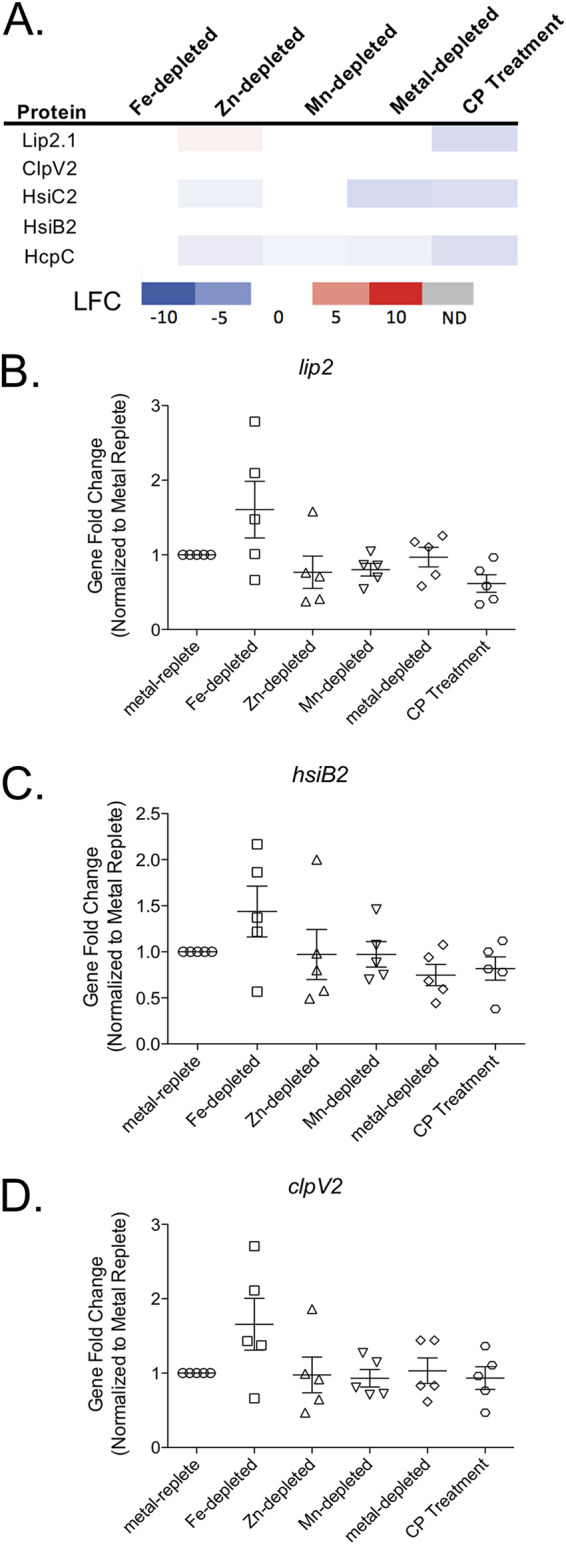 FIG 3