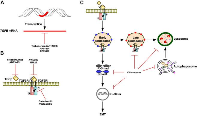 FIGURE 13