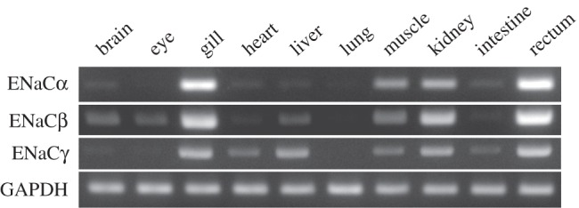 Figure 3.