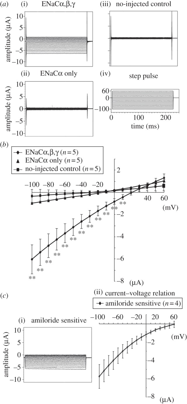 Figure 4.