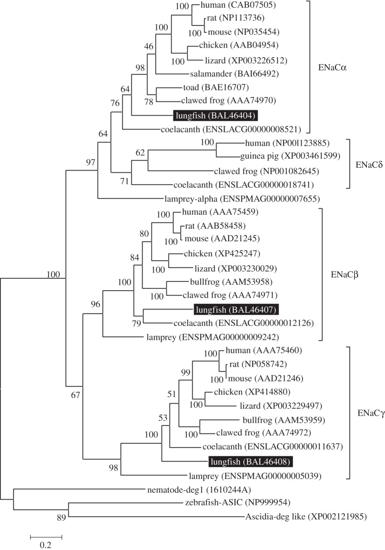 Figure 2.