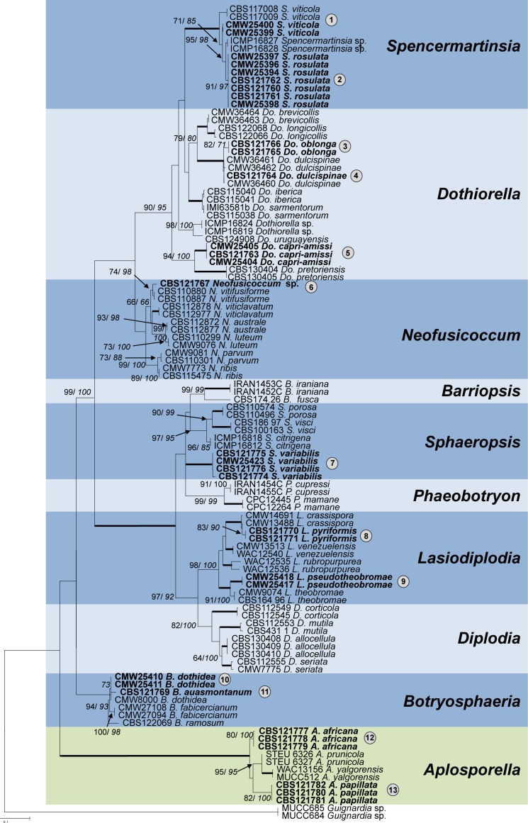 Fig. 1