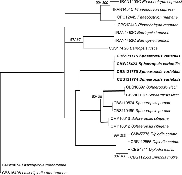 Fig. 2