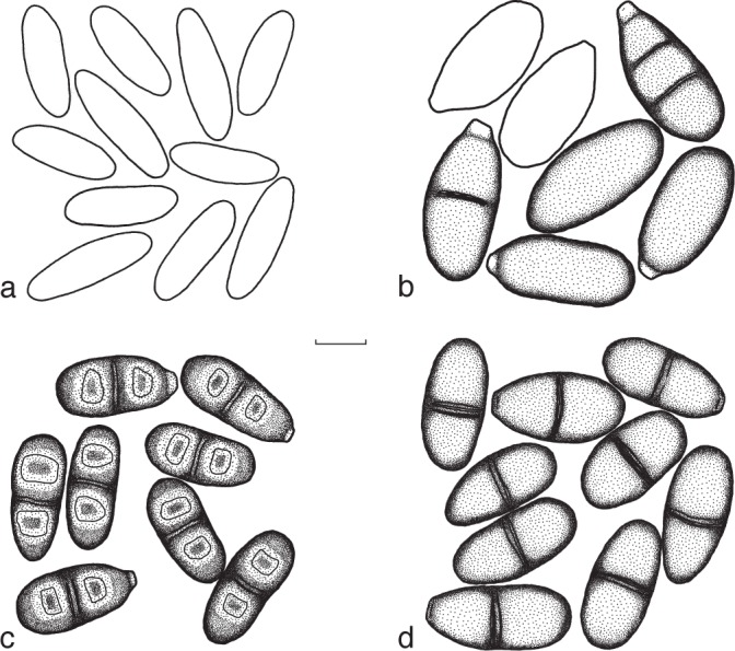 Fig. 5