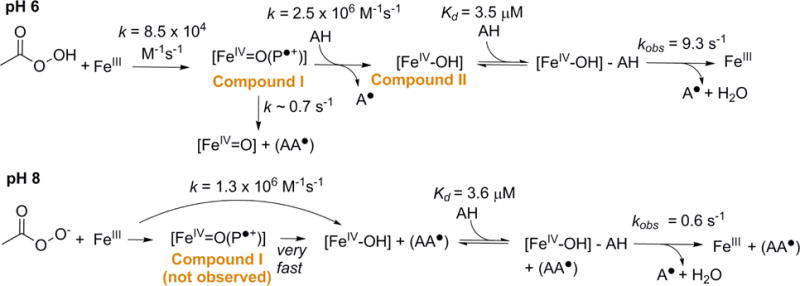 Scheme 2