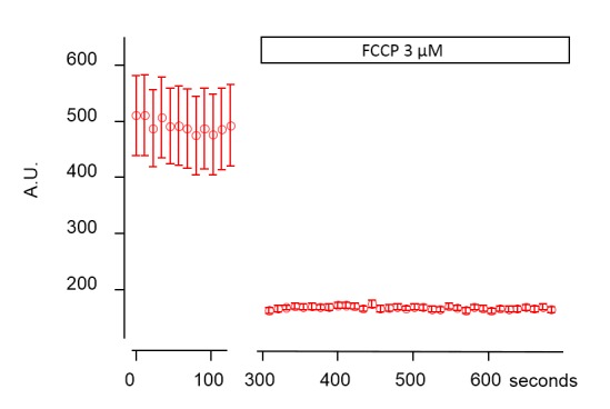 Figure 3—figure supplement 1.