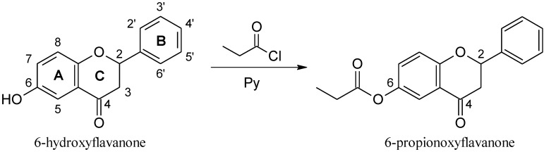 Scheme 1