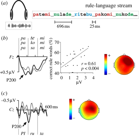 Figure 2.