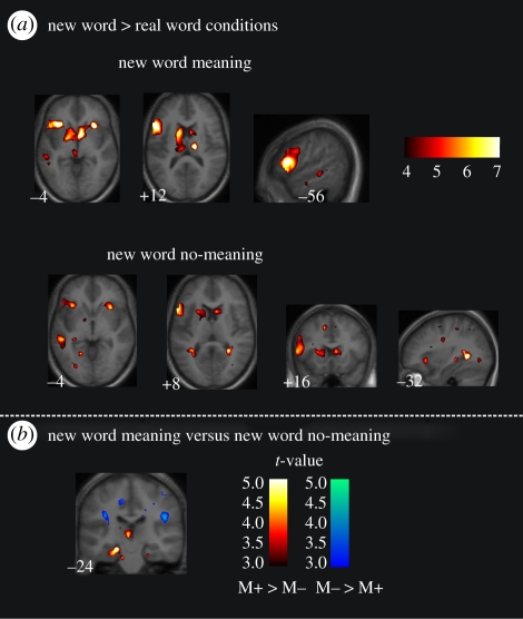 Figure 6.