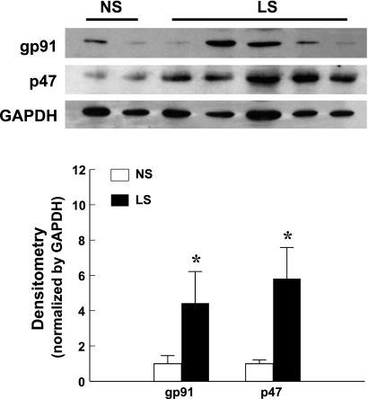 Fig. 3.