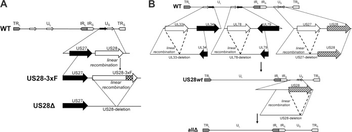 FIG 1