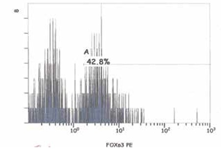 Figure 2a