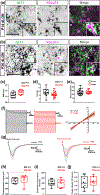 Fig. 10.