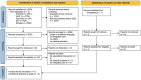 The Prisma flow diagram of this review