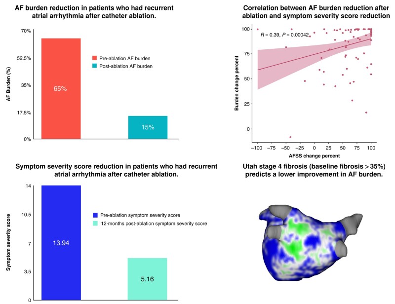 Graphical Abstract