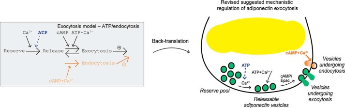 Figure 7.