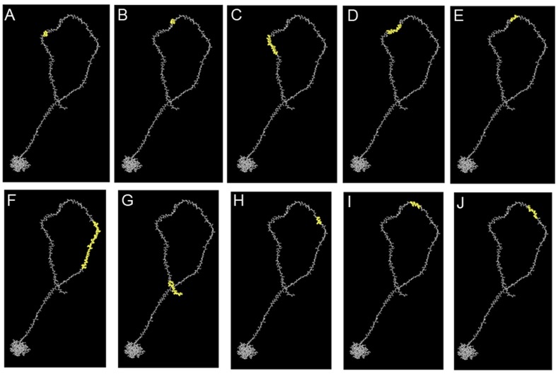 Fig 3