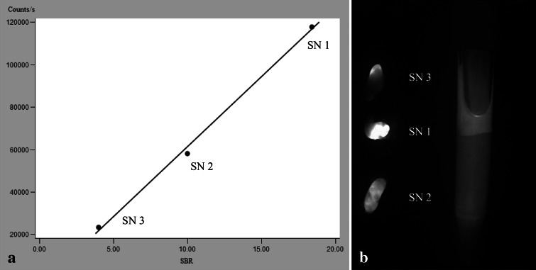 Fig. 3