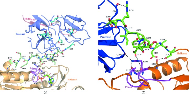 Figure 9