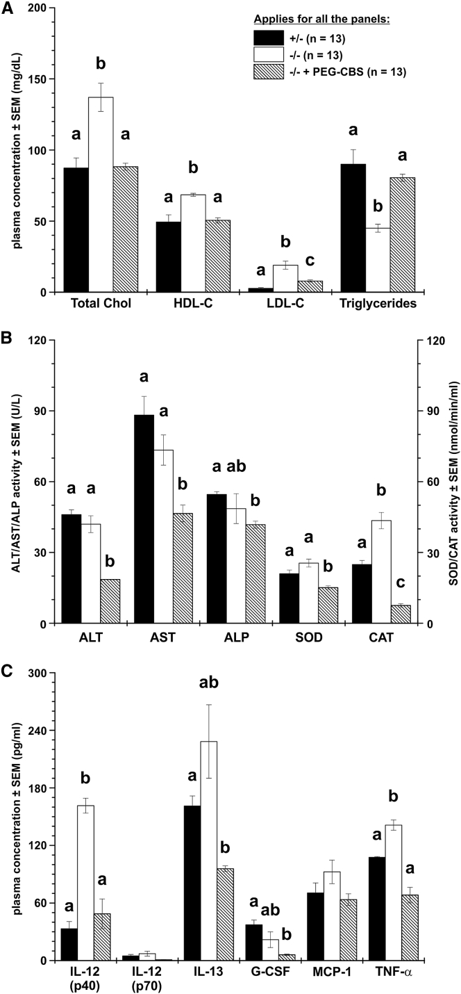 Figure 4