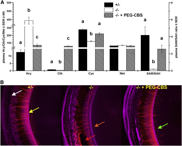 Figure 6